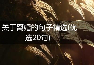 关于离婚的句子精选(优选20句)
