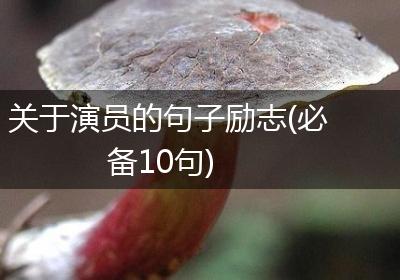 关于演员的句子励志(必备10句)