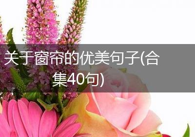 关于窗帘的优美句子(合集40句)