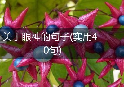 关于眼神的句子(实用40句)