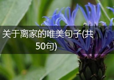 关于离家的唯美句子(共50句)