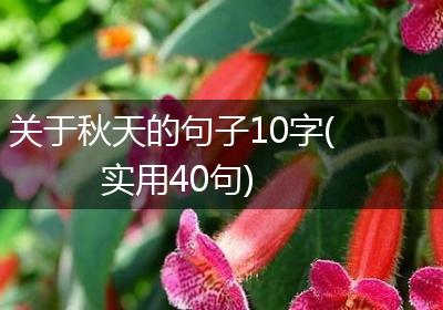 关于秋天的句子10字(实用40句)