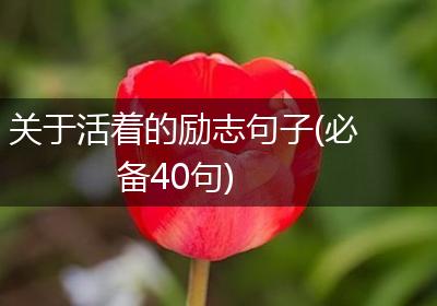 关于活着的励志句子(必备40句)