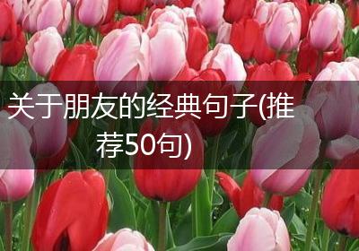 关于朋友的经典句子(推荐50句)