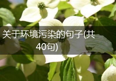 关于环境污染的句子(共40句)