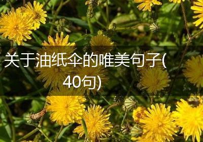 关于油纸伞的唯美句子(40句)