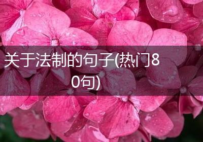关于法制的句子(热门80句)