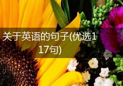 关于英语的句子(优选117句)