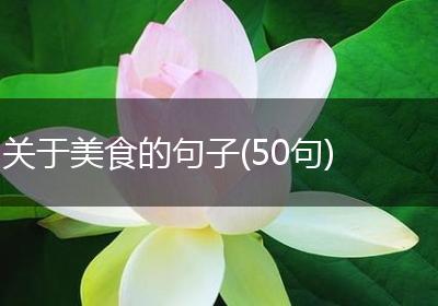 关于美食的句子(50句)
