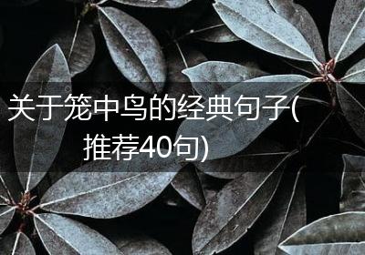 关于笼中鸟的经典句子(推荐40句)