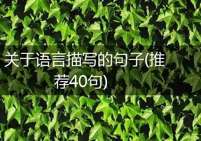关于语言描写的句子(推荐40句)