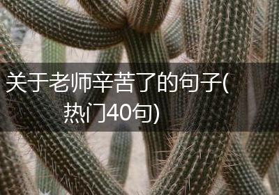 关于老师辛苦了的句子(热门40句)