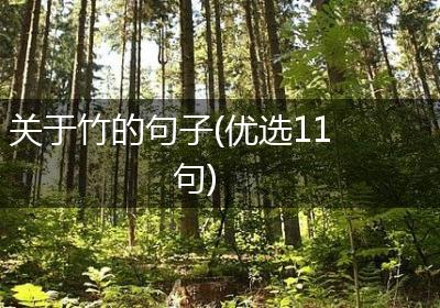 关于竹的句子(优选11句)