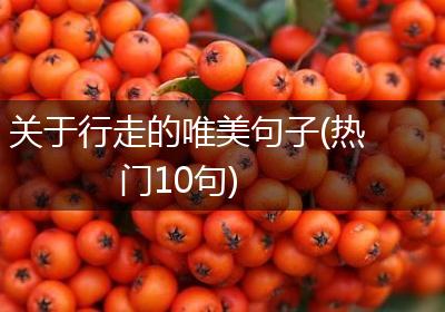 关于行走的唯美句子(热门10句)