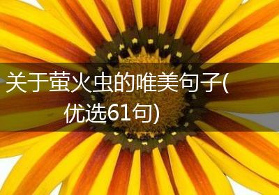 关于萤火虫的唯美句子(优选61句)