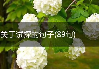 关于试探的句子(89句)