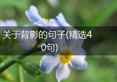 关于背影的句子(精选40句)
