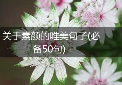 关于素颜的唯美句子(必备50句)