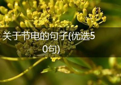关于节电的句子(优选50句)