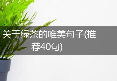 关于绿茶的唯美句子(推荐40句)