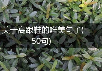 关于高跟鞋的唯美句子(50句)