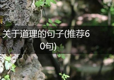 关于道理的句子(推荐60句)