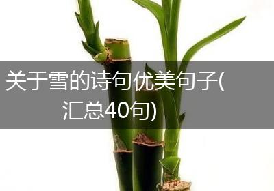 关于雪的诗句优美句子(汇总40句)