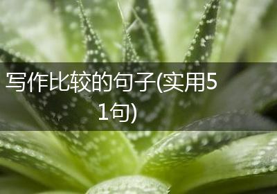 写作比较的句子(实用51句)