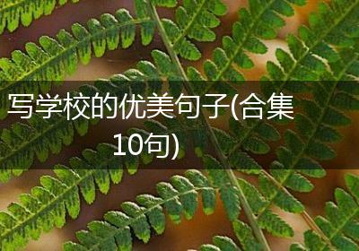 写学校的优美句子(合集10句)