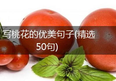 写桃花的优美句子(精选50句)