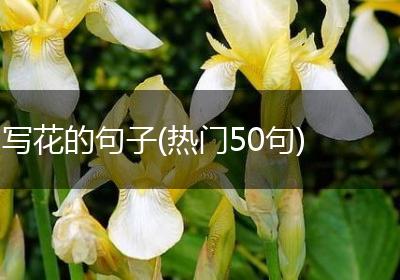 写花的句子(热门50句)