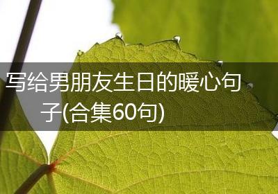 写给男朋友生日的暖心句子(合集60句)