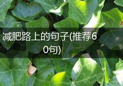 减肥路上的句子(推荐60句)