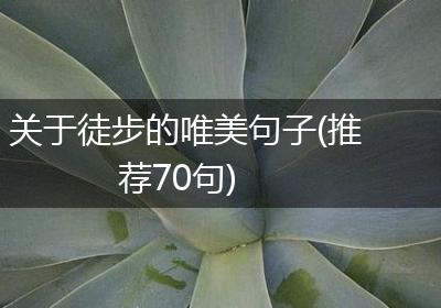 关于徒步的唯美句子(推荐70句)