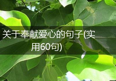 关于奉献爱心的句子(实用60句)