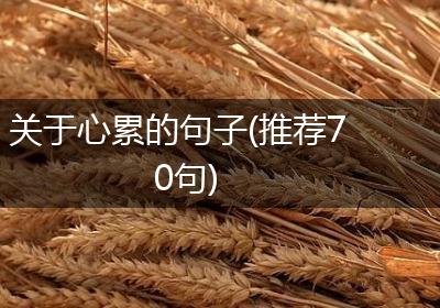 关于心累的句子(推荐70句)