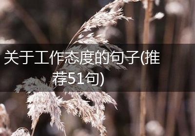 关于工作态度的句子(推荐51句)