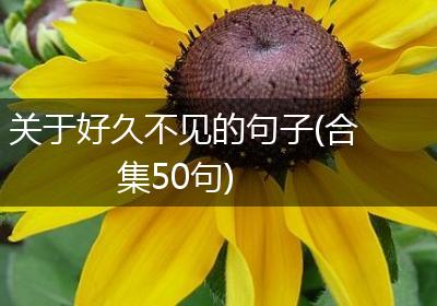 关于好久不见的句子(合集50句)