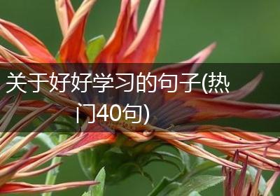 关于好好学习的句子(热门40句)