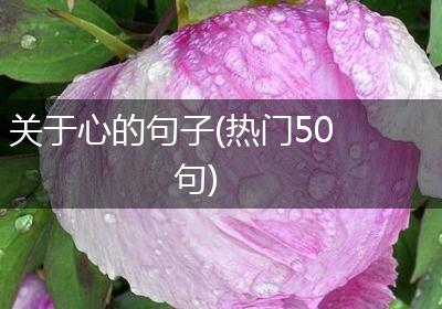 关于心的句子(热门50句)