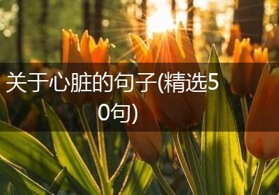 关于心脏的句子(精选50句)