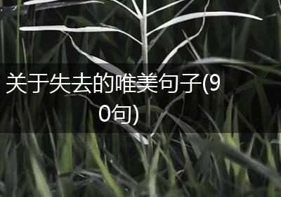 关于失去的唯美句子(90句)