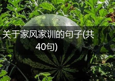 关于家风家训的句子(共40句)