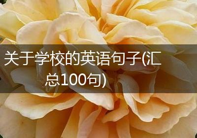 关于学校的英语句子(汇总100句)
