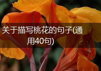 关于描写桃花的句子(通用40句)