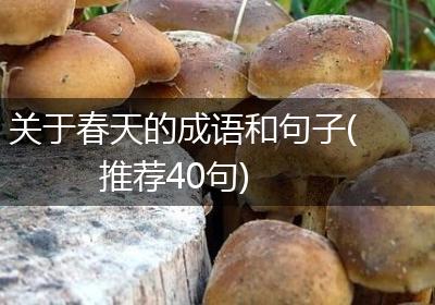 关于春天的成语和句子(推荐40句)