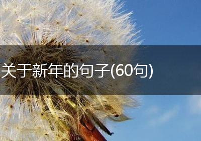 关于新年的句子(60句)