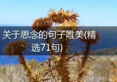 关于思念的句子唯美(精选71句)