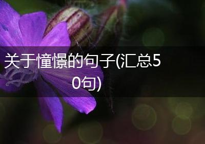 关于憧憬的句子(汇总50句)