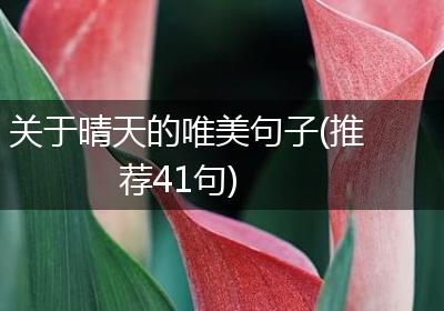 关于晴天的唯美句子(推荐41句)